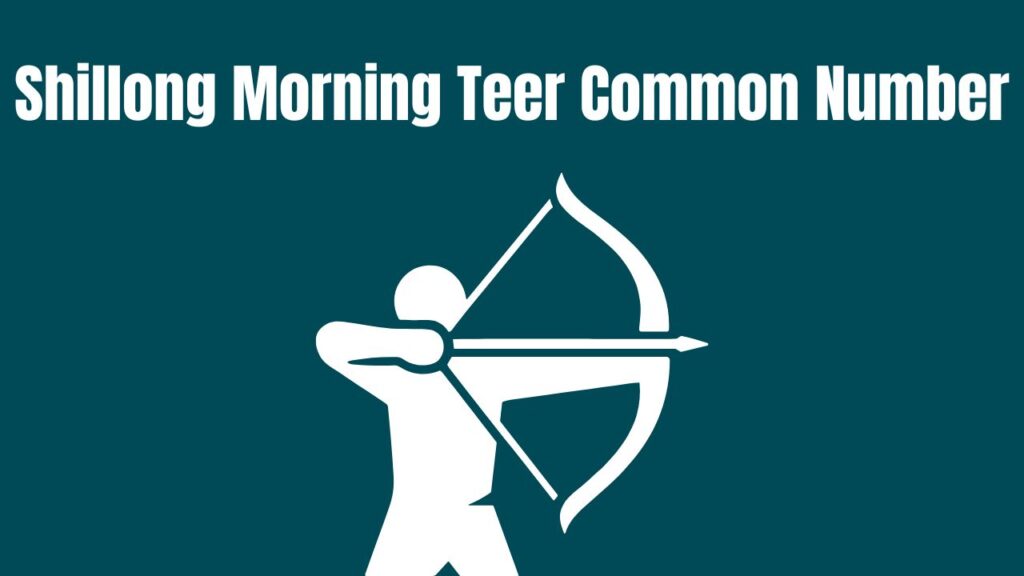 Shillong Morning Teer Common Number